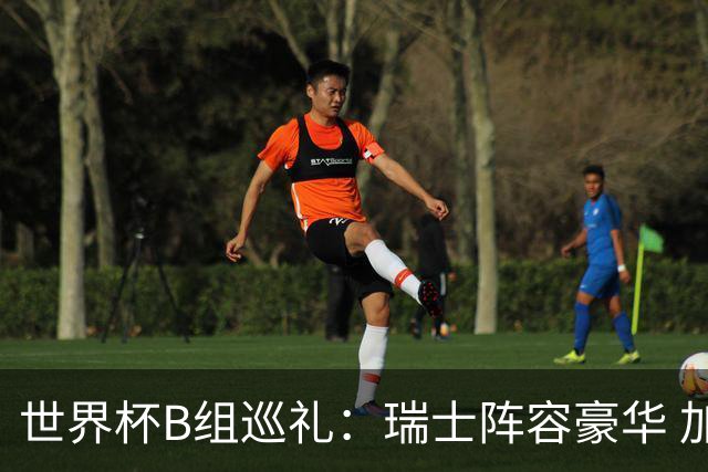世界杯B组巡礼：瑞士阵容豪华 加拿大主场优势明显
